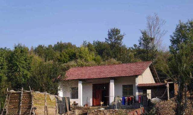 新時代田園生活揭秘,鄉(xiāng)村農(nóng)村的最新風(fēng)貌與體驗(yàn)