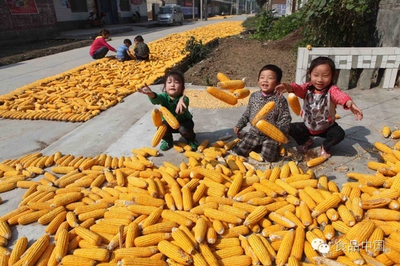 最新玉米倉,小巷中的美食探險之旅