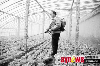 最新農(nóng)藥抽檢結果出爐,守護農(nóng)田安全,你我他的共同責任