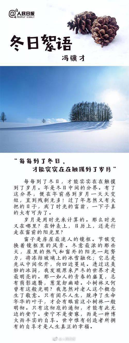 冬日暖陽下的溫馨日常,最新冬美文精選