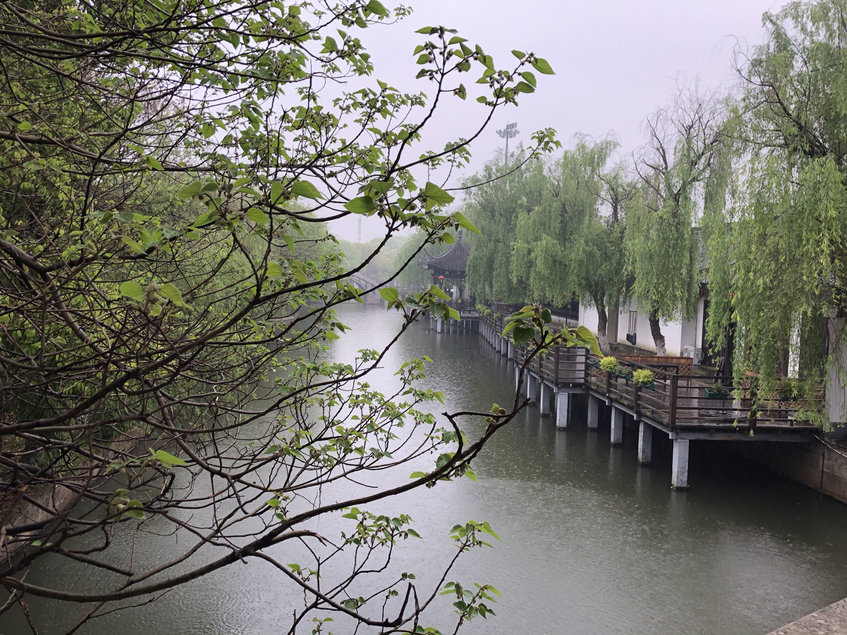 江南煙雨最新，自信與成就感的成長之旅