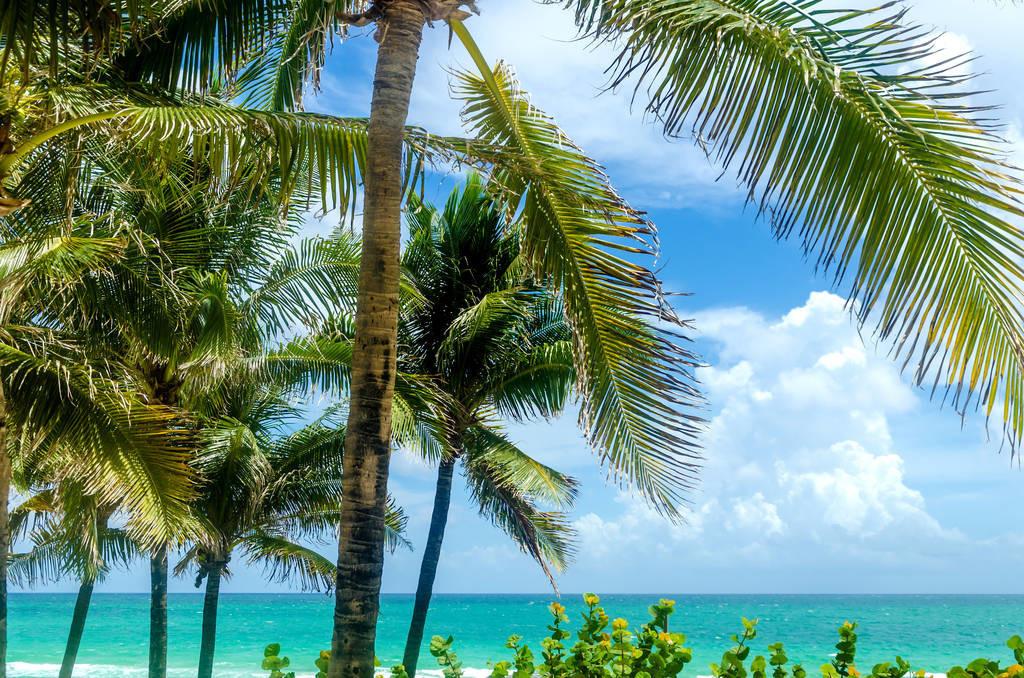 科技重塑旅行體驗，最新付費機場概覽