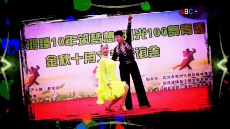 倫巴最新銅牌,價值、爭議與榮耀的見證