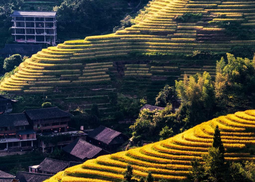 金秋天最新時尚潮流,獨特風情展現(xiàn)魅力風采