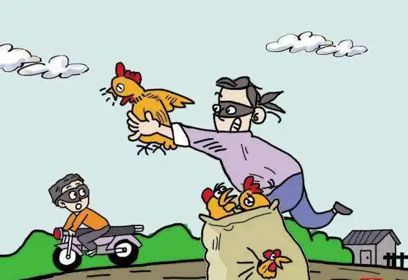 最新版偷雞,從變化中學(xué)習(xí),擁抱自信,成就非凡之路