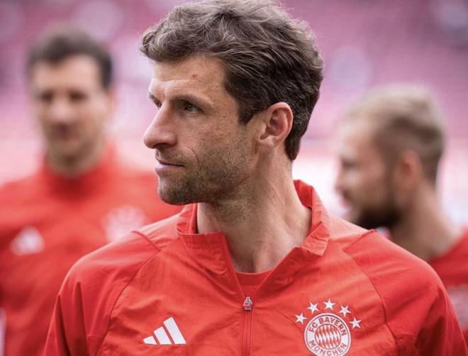 慕尼黑最新動態，城市生活的溫馨日常