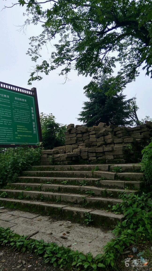 千佛山綿陽最新探索,巷弄深處的獨特風味之旅