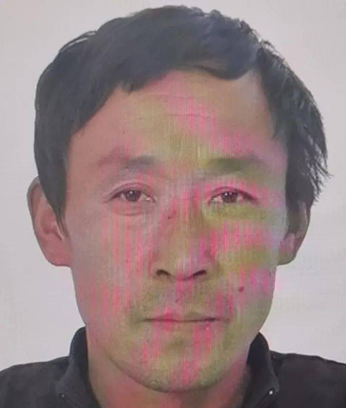 巨野最新通緝犯,社會安全的挑戰與應對策略