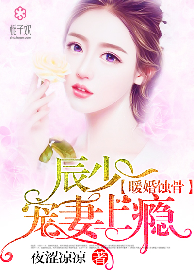 陸少寵上癮最新動態，日常趣事與真摯友情的獨特魅力