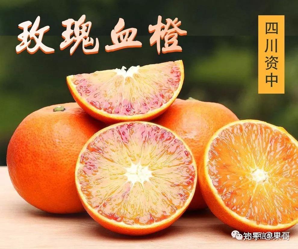 資中血橙,種植、管理與銷售全攻略的最新消息