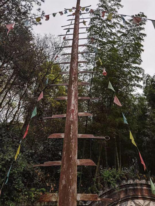 最新疫情下,探索自然美景,旅行的準備與期待