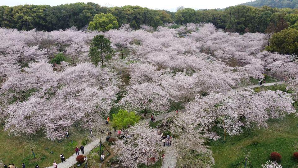 最新疫情下,探索自然美景,旅行的準備與期待