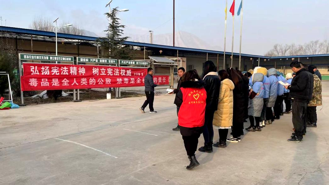 臨洮最新詐騙案揭秘,神秘小巷背后的故事