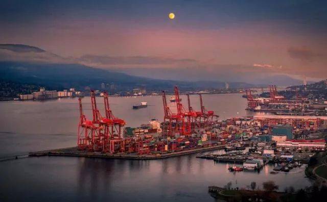 揭秘,53艘運煤船在華新動態與獨特煤香小店的故事