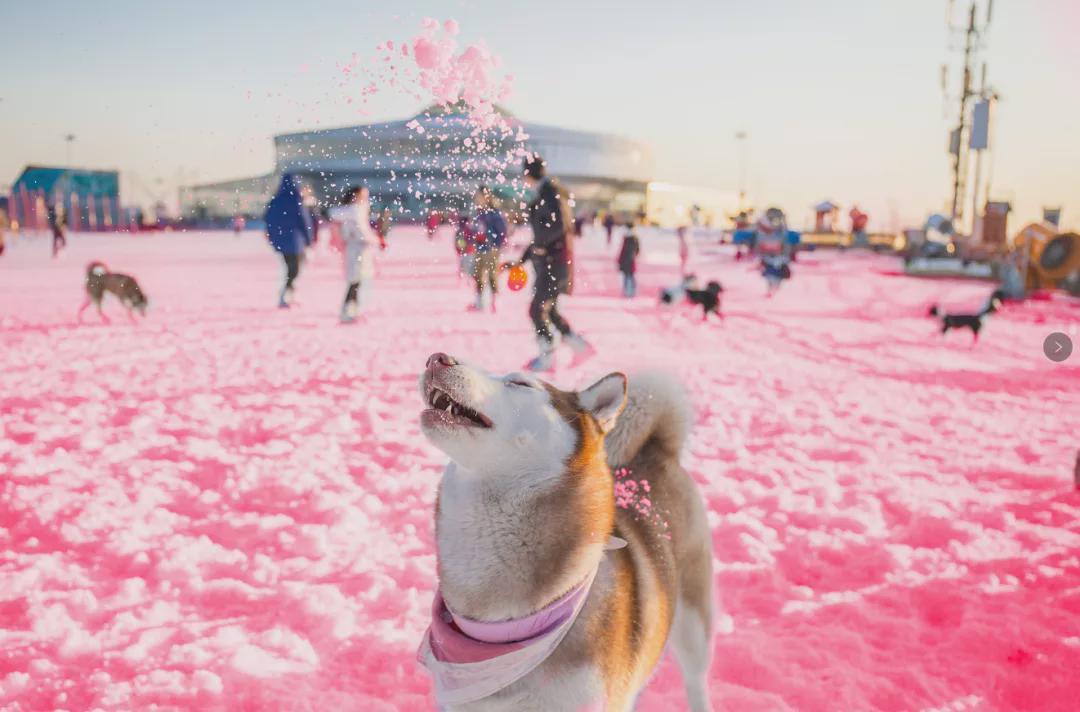 小信的世界最新科技前沿產品亮相,生活變革從此刻啟程