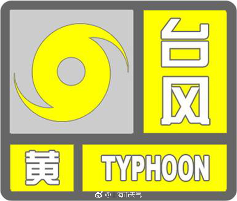 上海臺風最新預警信息解析及觀點闡述