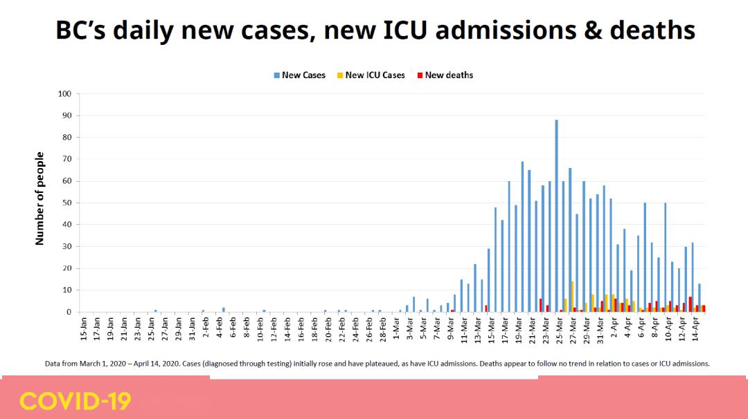 印度抗疫最新數據與大自然呼喚的心靈之旅時刻