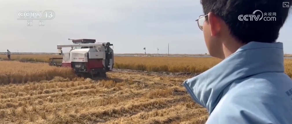 夏鳴星谷子最新科技,點亮生活,科技璀璨引領(lǐng)未來