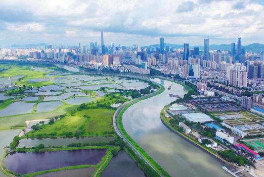 當下流行語探尋之旅,與大自然共舞,尋找內心平靜之旅