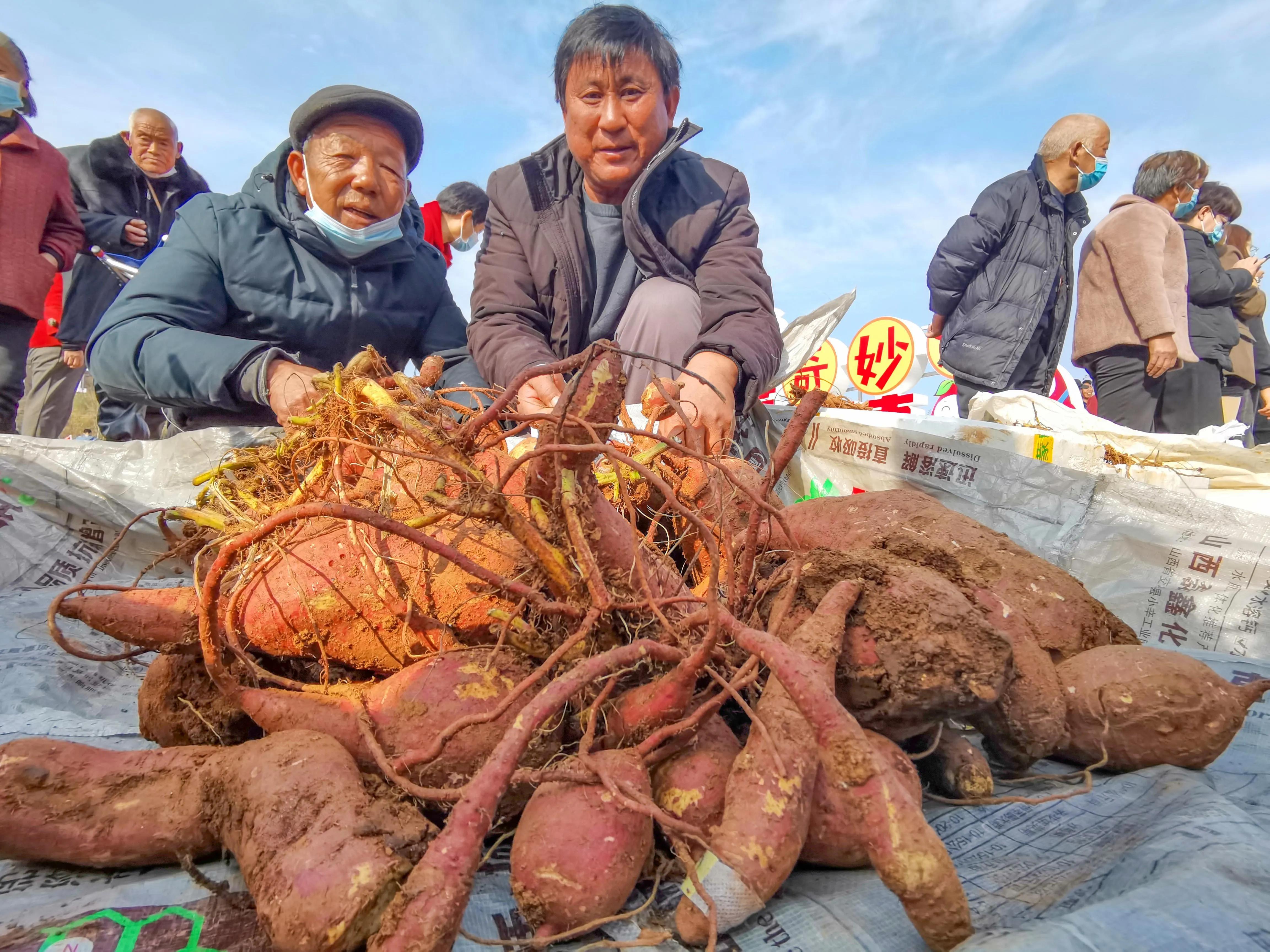 最新鄉(xiāng)村文創(chuàng),背景、發(fā)展與時代地位深度解析