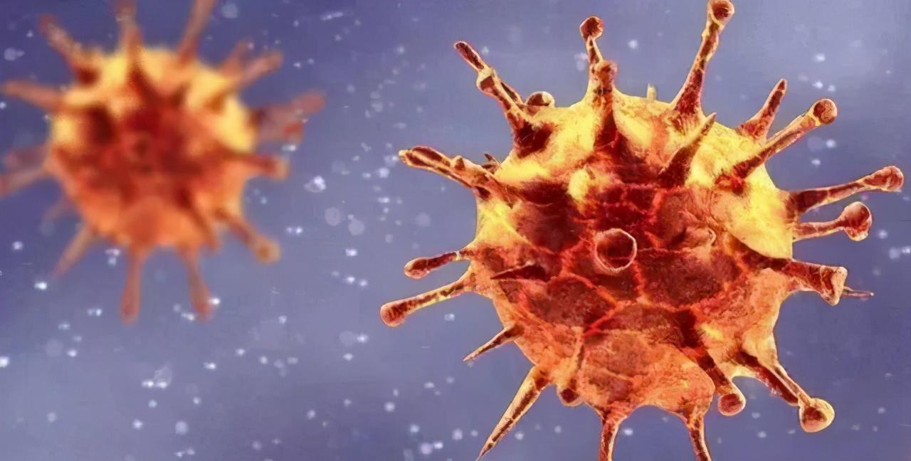 香港新冠疫情最新動態,變化中的學習,希望與力量的交響曲