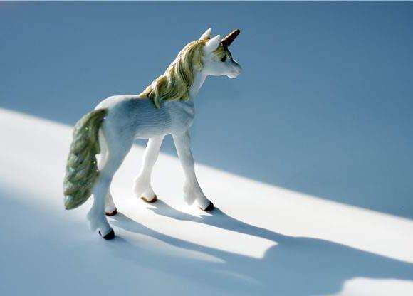 中國最新獨角獸,自信與成就感的源泉