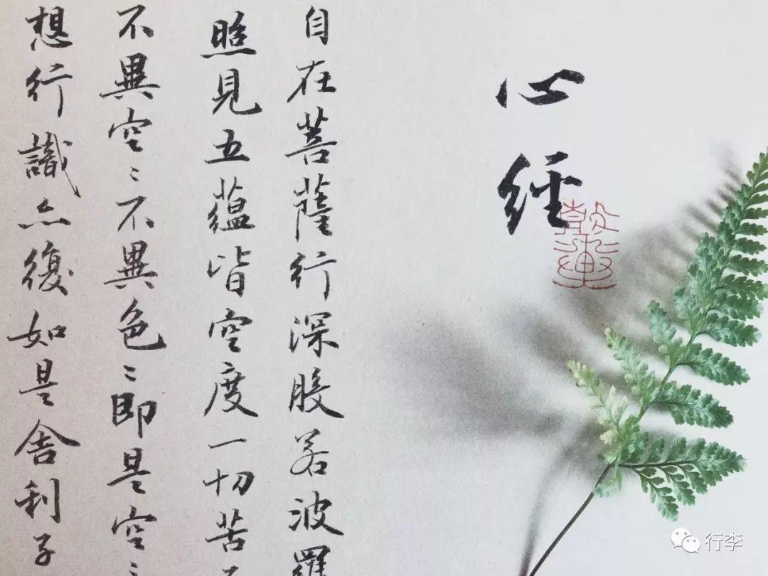 光遇最新燭火活動,光影盛宴,溫暖相遇之旅